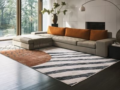 Contemporary living room area rug