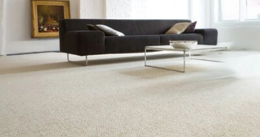 Natural soft wool carpet texture