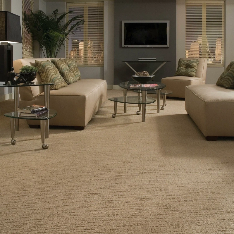Luxury soft lounge carpet