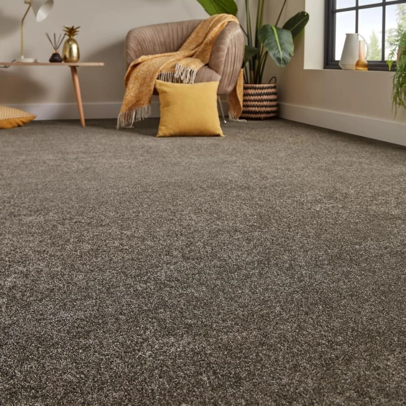 Patterned plush lounge carpet